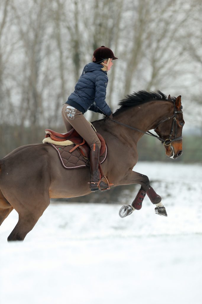 Knackige Temperaturen – knackiges Temperament! Aber wenn die Pferde auch im Winter voll im Training stehen, ist eine Vollschur für alle Beteiligten häufig die bessere Alternative zum stundenlangen Trockenreiten mit dem Risiko, dass das Pferd sich erkältet. Entsprechend eingedeckt ist die Auszeit auf Weide- bzw. Paddock auch im Winter kein Problem. Foto: Sportfotos-lafrentz.de
