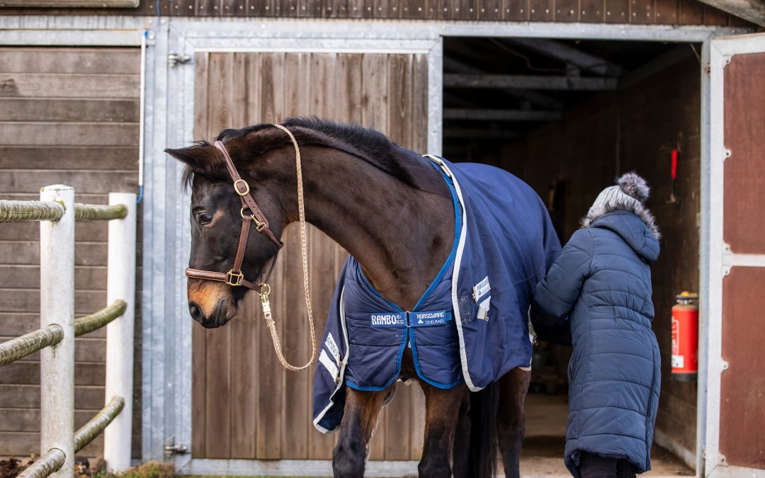 Für Pferde, die viel Zeit im Freien verbringen, ist eine Teilschur eine gute Alternative, wenn sie auch im Winter weiter trainiert werden. Foto: Sportfotos-lafrentz.de