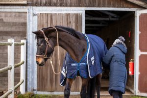 Für Pferde, die viel Zeit im Freien verbringen, ist eine Teilschur eine gute Alternative, wenn sie auch im Winter weiter trainiert werden. Foto: Sportfotos-lafrentz.de