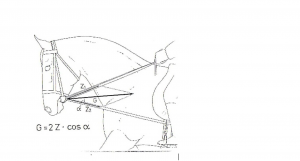 Abb. Prof. H. Preuschoft