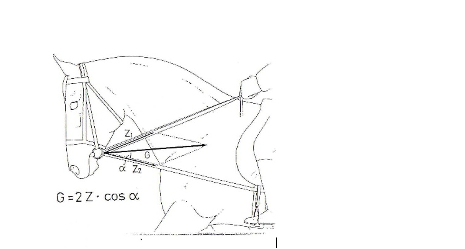 Abb. Prof. H. Preuschoft